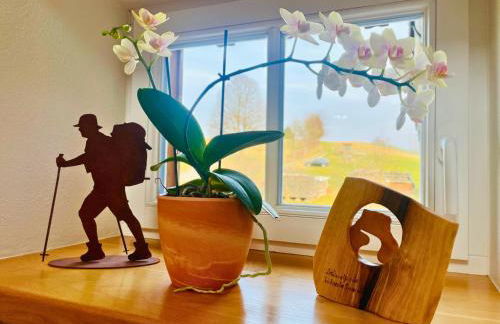 Ferienhaus Winterbergblick, Sächsische Schweiz - Photo 65