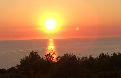 Dream house - Foto 21