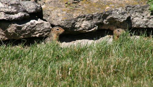 Carraig Nua House - Foto 3