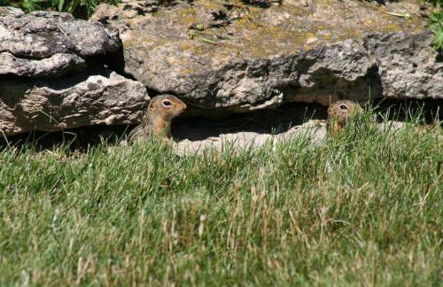 Carraig Nua House - Foto 3