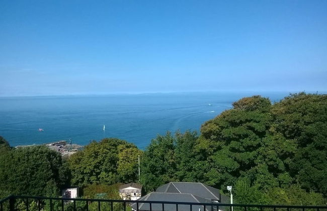 Hollies and Ilfracombe Harbour View - Foto 20