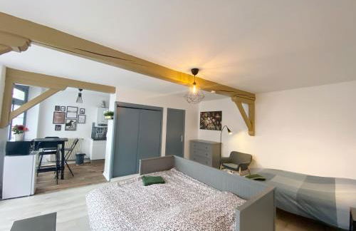 015 CHIC & COSY STUDIO 41m2 HYPERCENTRE WIFI SMART TV NETFLIX - Foto 19