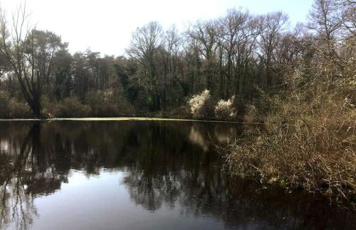 Le mur des beaunes - Photo 40