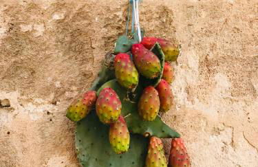 Villa Fontana - Foto 78