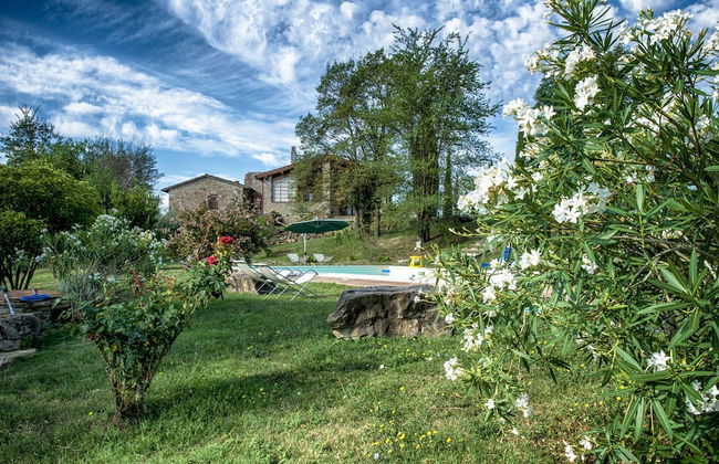 Agriturismo Casa Greppo - L'Ulivo - Foto 31