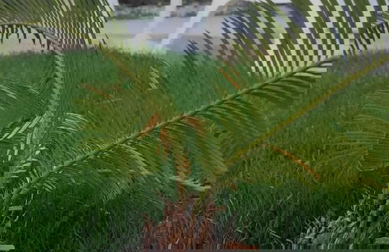 Cesme Marina Sahil Otel - Foto 12