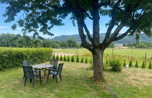 Minalya Home - Foto 4