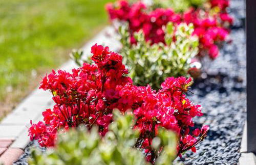 Haus Miriam - Foto 32