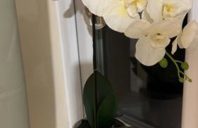 Legacy’s Guesthouse - Foto 24