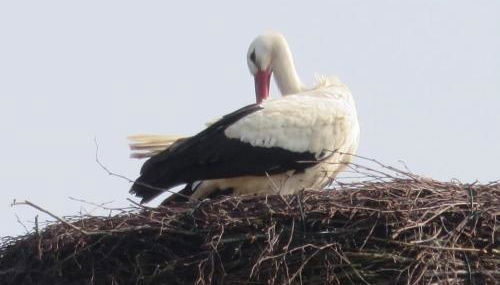 Ferienwohnung am Sandwater - Foto 3