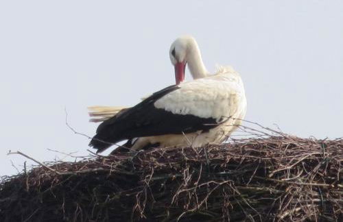 Ferienwohnung am Sandwater - Foto 3