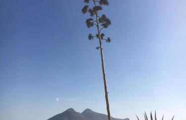 Cortijo Torreblanca Casa Rural Parque Natural Cabo de Gata - Foto 46