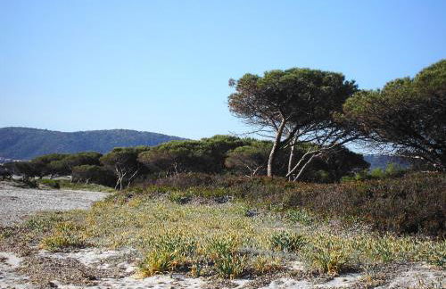 La Cuppulata - Foto 8