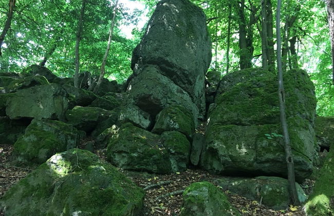 Cozy Apartment in Ellar With Garden - Foto 76