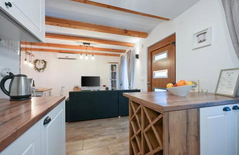 Gorgeous Home In Zelezna Gora With Wifi - Foto 16