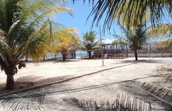 Chalé Amarelo - Mansão Ponta da Asa - Foto 35