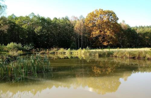 Agroturystyka Różanka - Foto 8