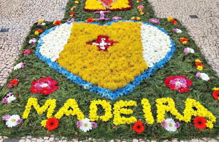 Vista Romantica Madeira - Photo 66