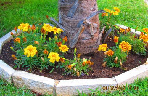 Villa Milan - Foto 38