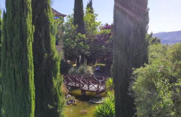 Andalusian experience - Foto 52