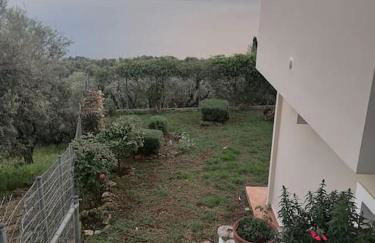 White Hill Platanos - Photo 14