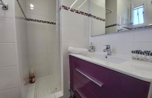 Gîtes pour groupe climatisé, parking, jardin proche Toulouse, Airbus, MEETT et aéroport - Foto 10