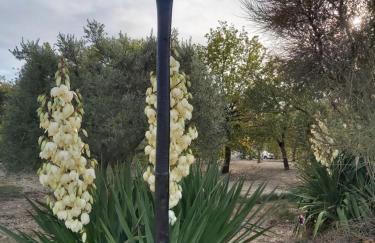 Gites Lou Limbert - Photo 19