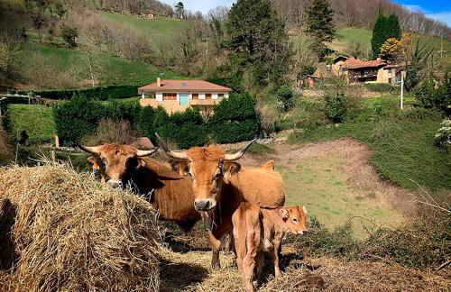 Loft 80 mts en un entorno natural. - Foto 59