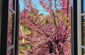 AV Suites - Maria - Photo 23