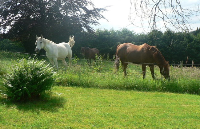 Forest Hideaway, Baillamont - Foto 52