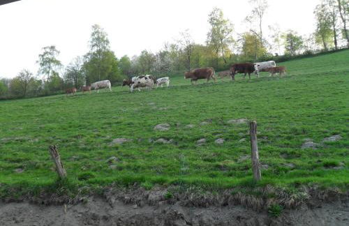 Ferienwohnungen Sonnenpfad - Foto 38