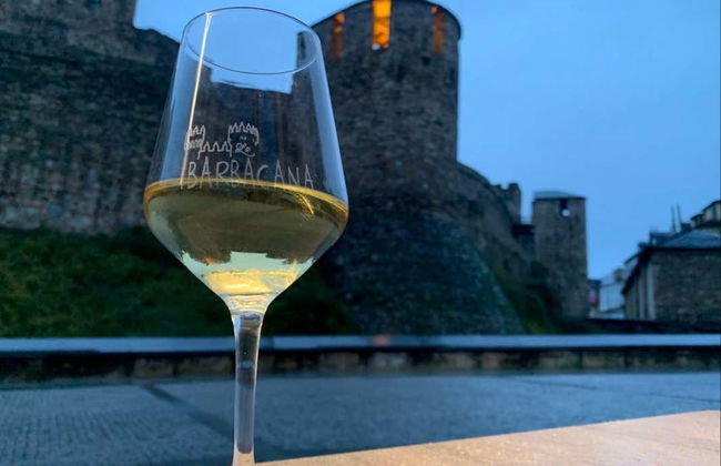 Tour in Ponferrada - Photo 1