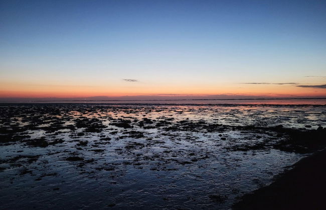 Ferienwohnung in Nesse - Foto 23