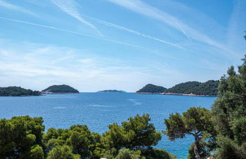 Apartments by the sea Ubli, Lastovo - 16599 - Foto 21