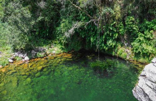 Casa da Carrasqueira - Foto 26