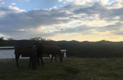 Casa Rural Monterrey Aroche - Foto 34