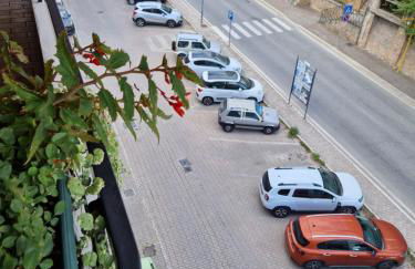 GUFO VERDE - Photo 38