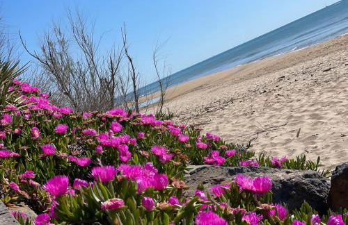 Residence du Grand Large - Foto 7