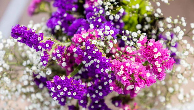 Boda Elvis en Las Vegas - Foto 5