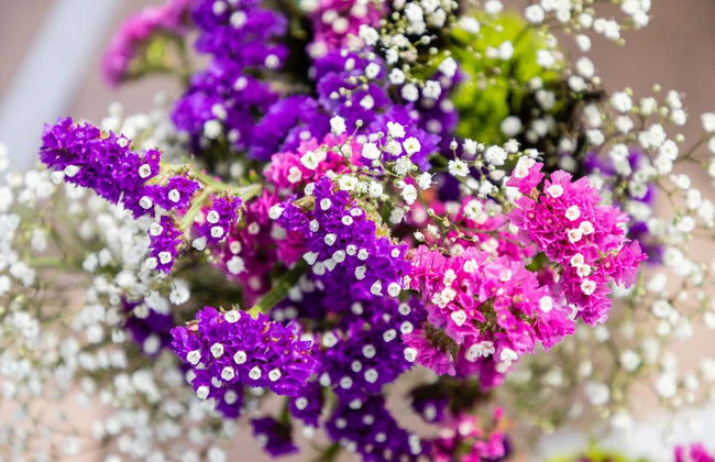 Las Vegas Wedding at Graceland Chapel - Photo 3