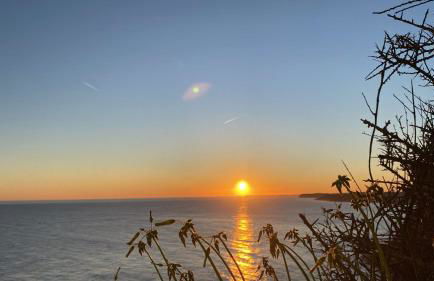 Casa Felicidade - Foto 58