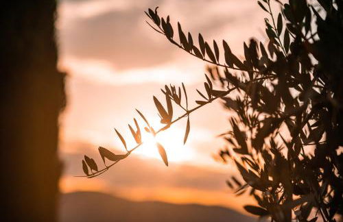 San Carlo a La Molinella - Photo 32