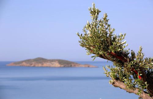 ELIA PRIVILEGED SUITES Andros ΑΝΔΡΟΣ - Foto 35