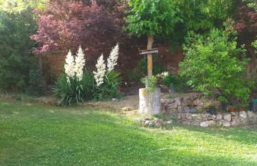 El Salegar - Foto 32