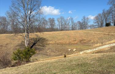 Newly Listed-Private 25-Acre Escape Near Red River Gorge - Foto 134