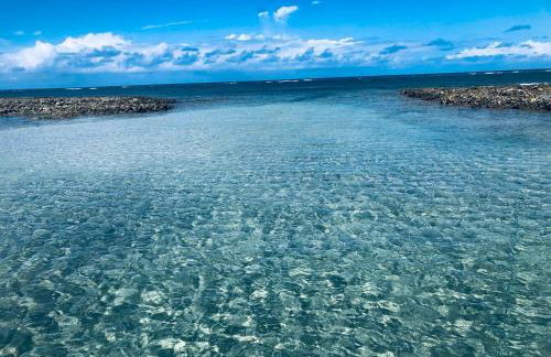 Casa em Maragogi/AL - Foto 39