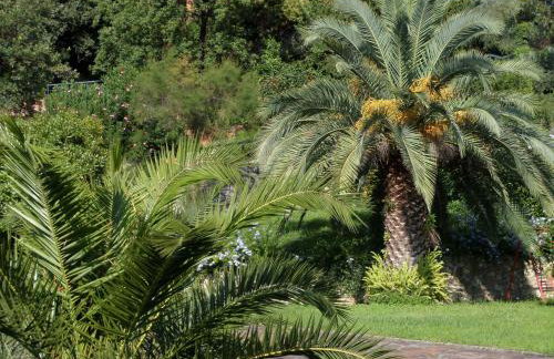 "The Ulivi" inside Le Agavi Private Park, shared Pool and Tennis 200m far, Sea View Apartment 2 AC BDR, 2BTH, parking next home and private garage in Lerici! Cooking Lesson and Wine Tasting - Foto 57