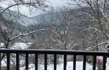 Πατρικό ολόκληρος ξενώνας entire stone guesthouse - Foto 62