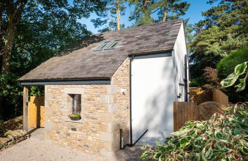 Sunnyside Studio - Foto 15