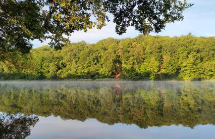 Piotiwo D1 - Foto 19